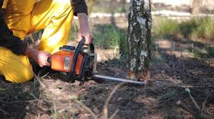 Lawn Grading and Leveling in Abingdon, VA